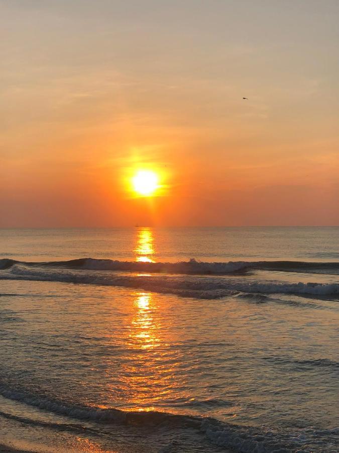 Auberge D'Amelia Fernandina Beach Luaran gambar
